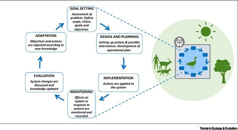 Understanding And Overcoming Obstacles In Adaptive Management Trends