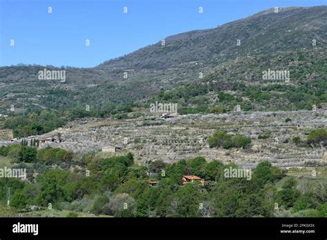 View Of The Jerte Valley April In C Ceres Extremadura Spain