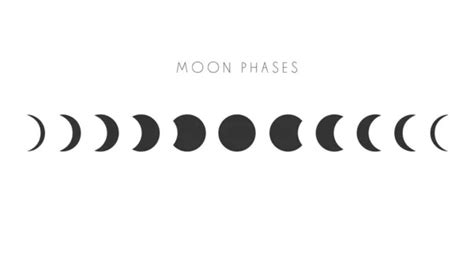 27,499,130 Moon phase Vector Images | Depositphotos