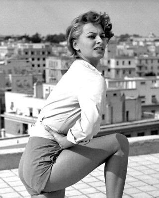 Sophia Loren Legendary Actress And Sex Symbol X Publicity Photo