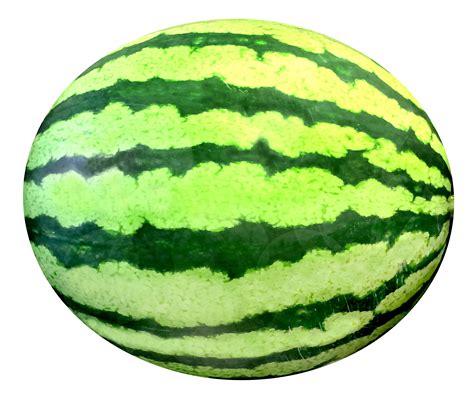 How To Draw A Watermelon And A Glass Of Juice In Adobe Illustrator