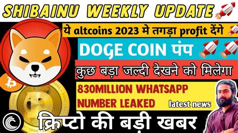 🔥 Doge Shibainu Profit Incoming 🚀🔥 मार्किट में चल क्या रहा है