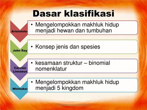 Pengertian Taksonomi Tujuan Contoh Tingkatan Takson Dalam Biologi