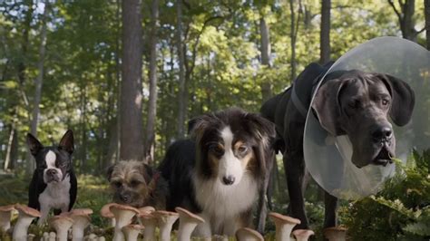 Örvendjünk A Hétvégének Egy Mozgó Szájú Beszélő Kutyás Film