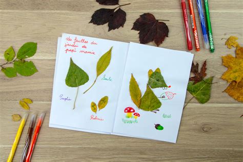 Activité enfant DIY nature créer un herbier rigolo