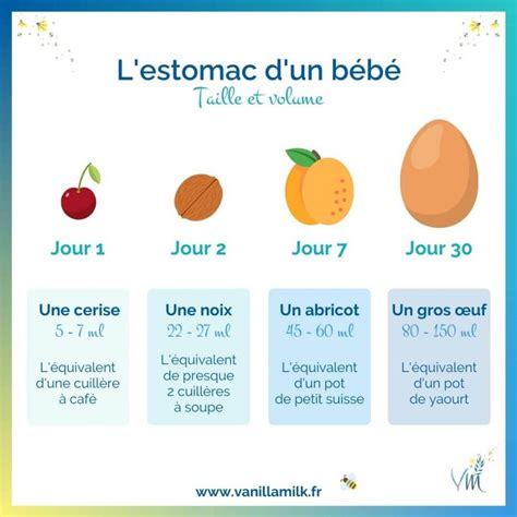 Nos Infographies De Lallaitement Maternel Vanillamilk