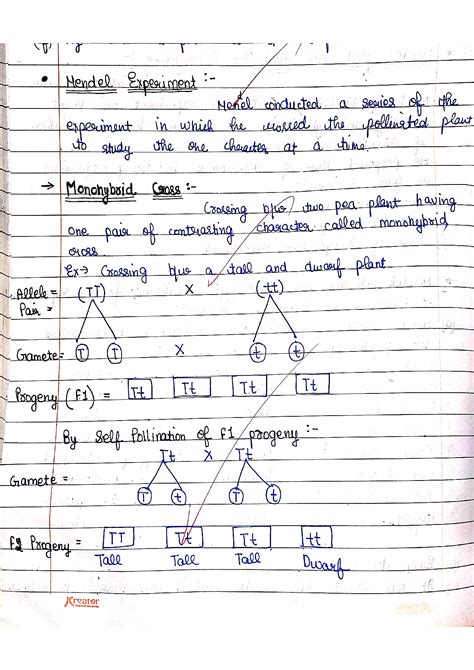 Monohybrid And Dihybrid Practice Problems