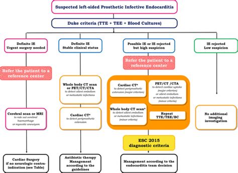 Multimodality Imaging In Infective Endocarditis Circulation