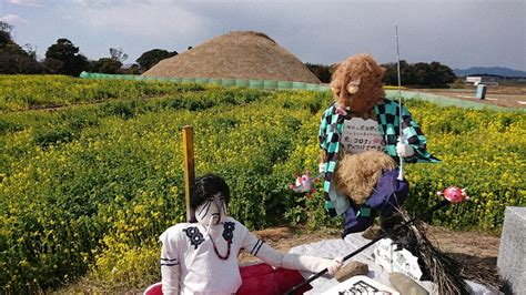 世界遺産に彩り 菜の花見ごろ 新原・奴山古墳群 ／福岡 毎日新聞