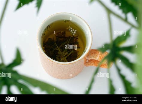 Calm tea hi-res stock photography and images - Alamy