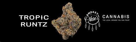 Marijuana Strain Profile: Tropical Runtz | Oklahoma Growers