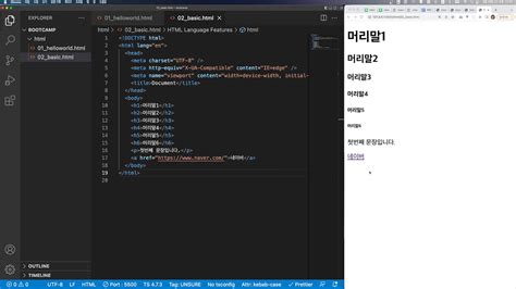 지금 무료 웹 개발 풀스택 코스 HTML CSS 기초 개발자의 품격 인프런