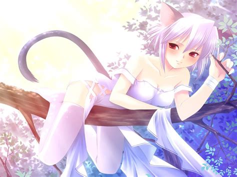 Neko Girl Wallpaper Wallpapersafari