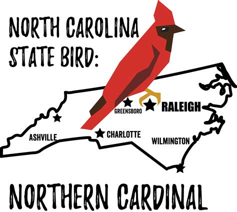 North Carolina State Bird – My Store