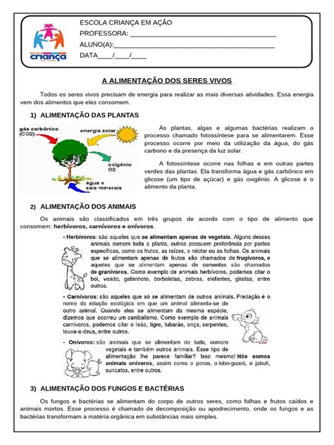 Alimentação Dos Seres Vivos 4 Ano - Alimentação dos Seres Vivos | PDF