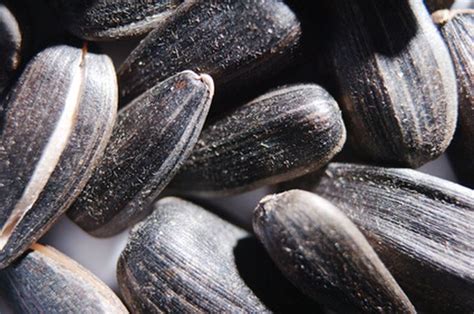 How To Make Flavored Sunflower Seeds Hunker