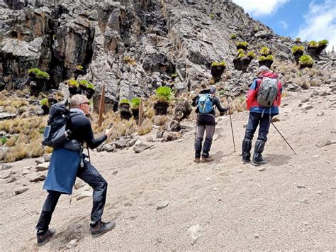 Mt. Kenya National Park: Exploring East Africa's Majestic Gem - Tour Kenya