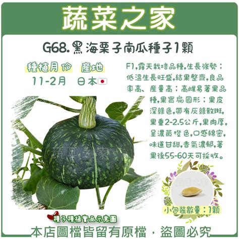 【蔬菜之家滿額免運】g68黑海栗子南瓜種子1顆f1生長強勢；低溫生長旺盛產量高蔬菜種子 露天市集 全台最大的網路購物市集