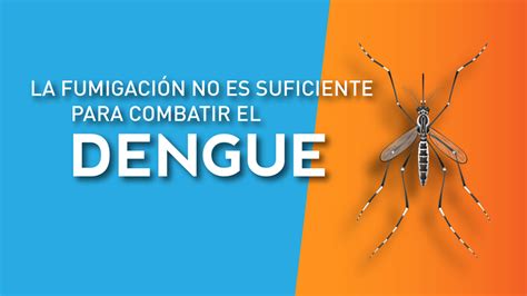 La fumigación no es suficiente para combatir el dengue CONICET