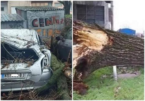 Nevreme U Srbiji Od Orkanskog Vetra Do Snega U Planinskim Oblastima