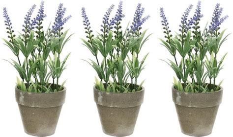 Bellatio Flowers Plants Lavendel Kunstplant 4x 25 Cm Betonlook