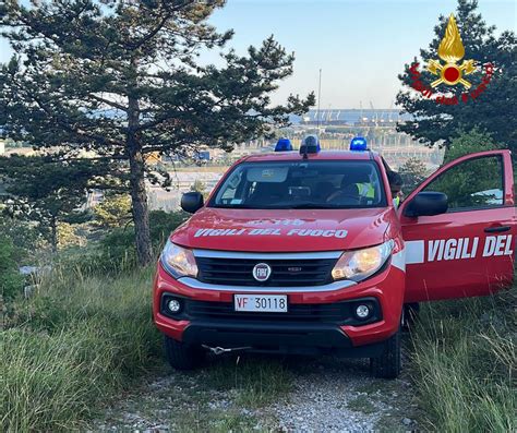 Vasto Incendio Boschivo Sul Carso Chiusa La Linea Ferroviaria