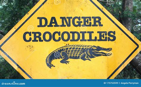 Danger Crocodile Sign Stock Photo 82502400