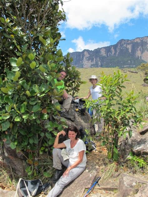 Roraima Trek Canaima National Park Angel Eco Tours