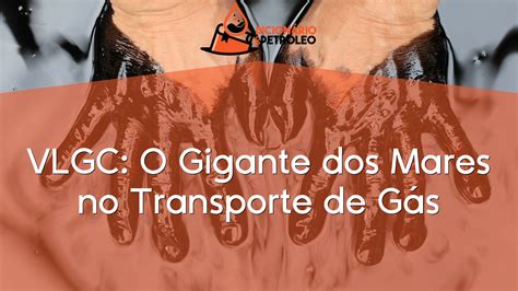 VLGC O Gigante dos Mares no Transporte de Gás