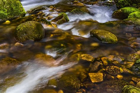 Images Gratuites Plan D Eau Ressources En Eau La Nature Courant