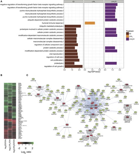 A Gene Ontology Analysis Using David For Each Condition Versus Download Scientific Diagram