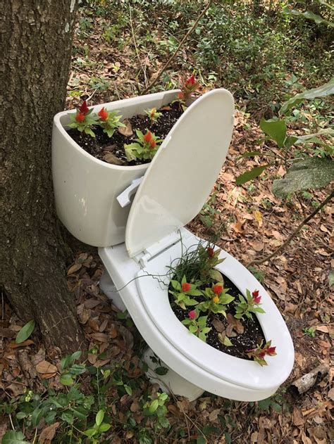 Planted Toilet ️ Bathroom Garden Plants Garden Toilet