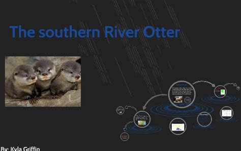 The southern River Otter by kyla Griffin on Prezi