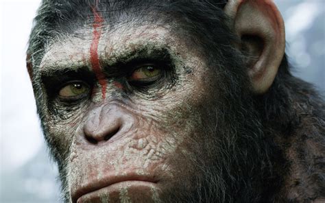 Dawn Of The Planet Of The Apes Hd 4k Hd Wallpaper