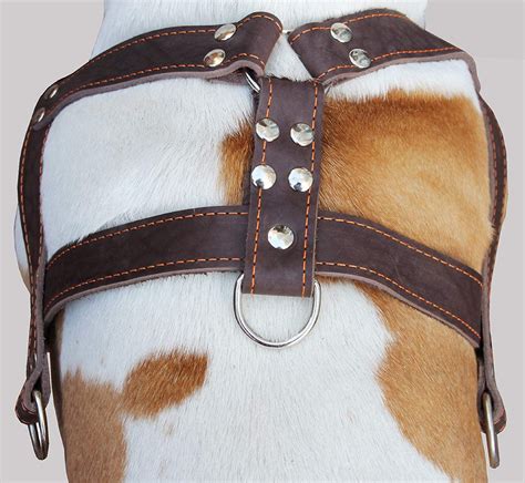 Brown Genuine Leather Dog Pulling Harness 33 37 Chest Size 15 Wide