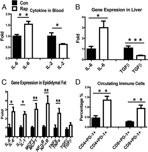 Effects Of Rapamycin On The Immune System And Inflammation Status In