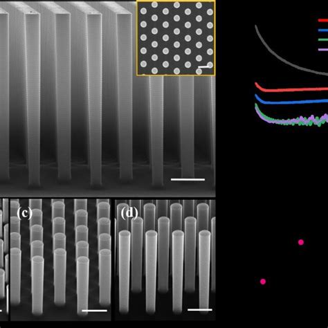 Characterization Of Micropillar Arrays Of Different Heights A