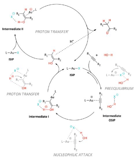 Mechanism Of Alkyne Hydration Highlighting The Potential Role Of The