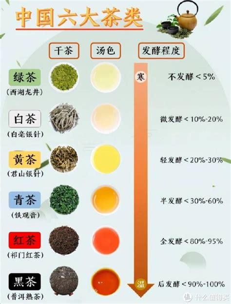 春茶上市看看有哪些值得入手的好茶带你深入了解绿茶