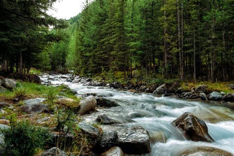 Mountain Fast Flowing River Running Water Between Rocks In Sunlight