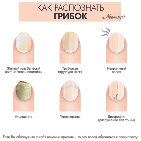 Какой вид маникюра выбрать: основные виды маникюра