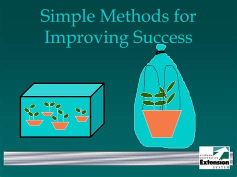 Ppt Plant Propagation Powerpoint Presentation Free Download Id4346626