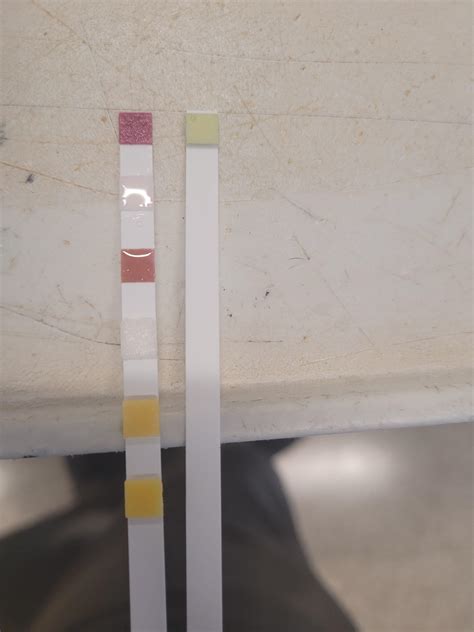 New training modules will soon launch via HR Connect Petsmart