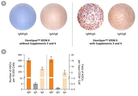 StemSpan B Cell Differentiation Supplement 1 20X STEMCELL Technologies