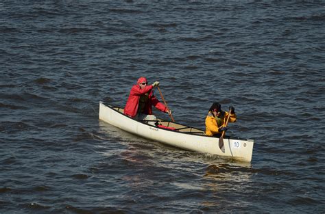 Fotos Gratis Hombre Aventuras Canoa Paleta Vehículo Kayac