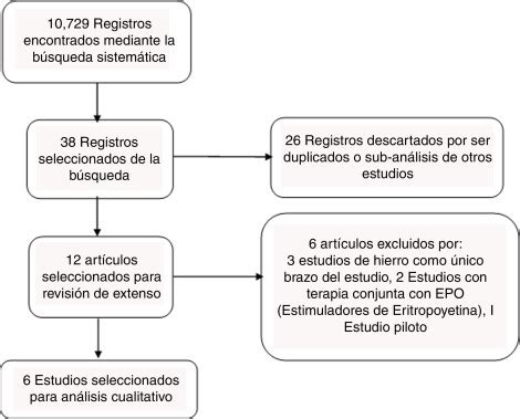 Diferencia Entre Hierro Y Ferritina Cu L Es La Clave Para Una Salud