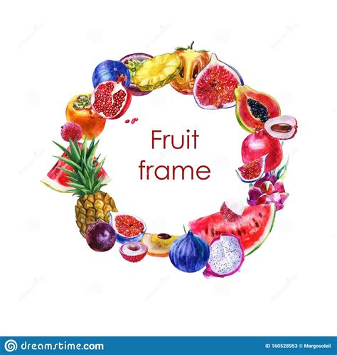 Ilustraci N De La Acuarela Marco De Frutas De Verano Frutas