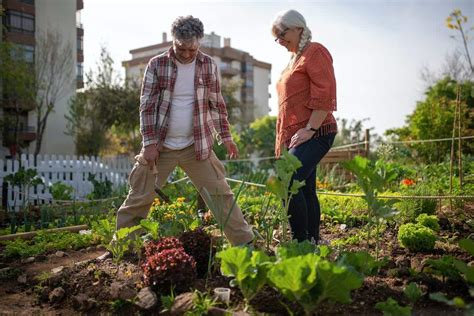 Les Meilleures Vari T S De L Gumes Cultiver Dans Votre Potager Cet