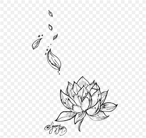 Egyptian Lotus Nelumbo Nucifera Tattoo Flower Drawing, PNG, 546x774px ...