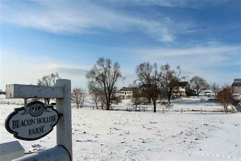 Amish Bed and Breakfast | Beacon Hollow Farm